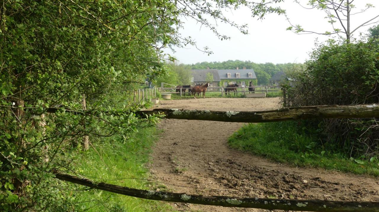 La Petite Lande Bed and Breakfast Ménil Εξωτερικό φωτογραφία