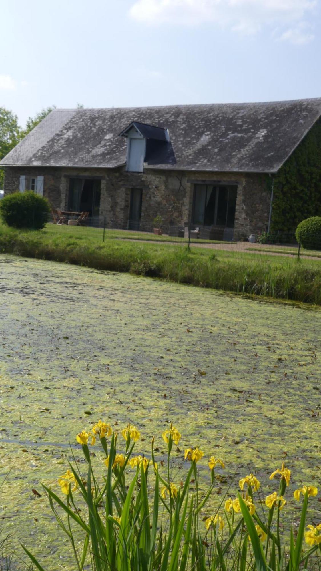 La Petite Lande Bed and Breakfast Ménil Εξωτερικό φωτογραφία