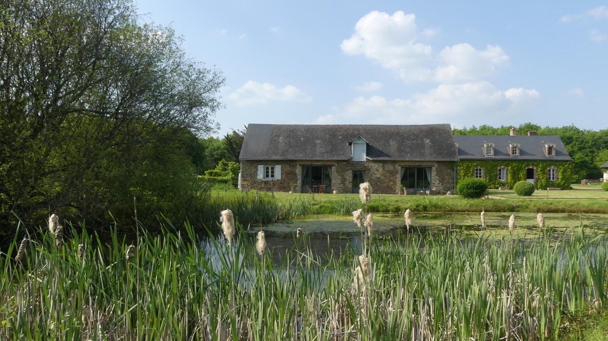 La Petite Lande Bed and Breakfast Ménil Εξωτερικό φωτογραφία