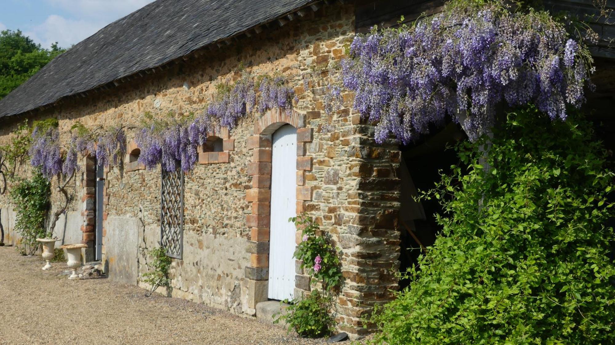 La Petite Lande Bed and Breakfast Ménil Εξωτερικό φωτογραφία